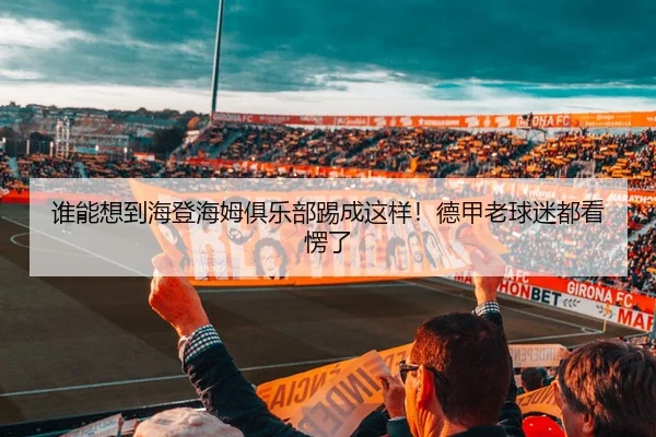 谁能想到海登海姆俱乐部踢成这样！德甲老球迷都看愣了